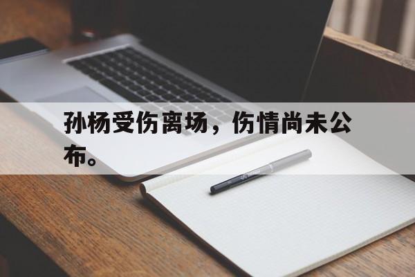 开云网页-孙杨受伤离场，伤情尚未公布。